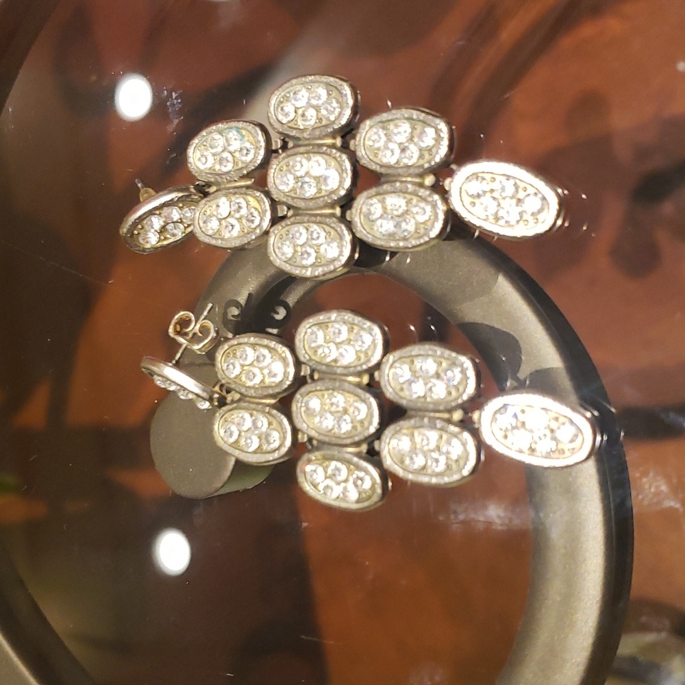 Statement earings
